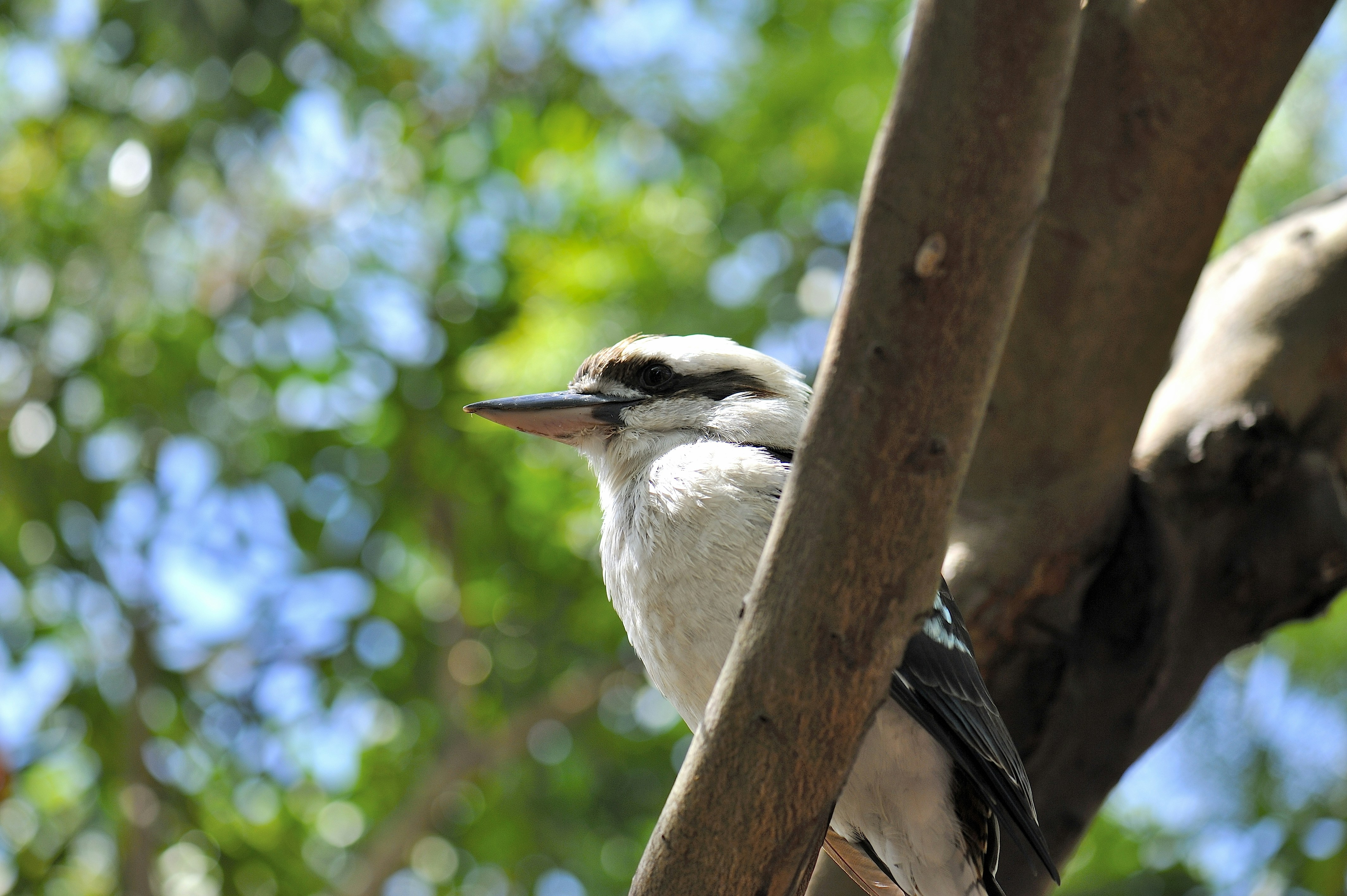 Photo by corettecornelia