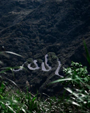 A scenic view of a winding road through lush green mountains, inviting adventure