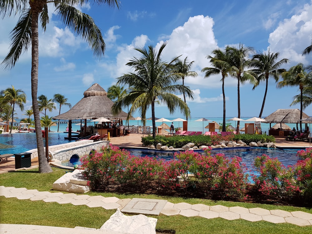 palm trees near swimming pool during daytime