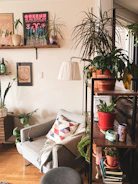 A vibrant home decor corner featuring colorful cushions and plants.