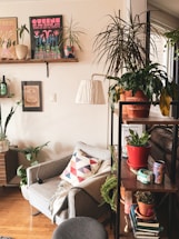 A cozy living room corner with comfy furniture and indoor plants reflecting home and garden vibes.