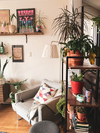 A cozy, bright corner of a living room filled with colorful cushions and plants.