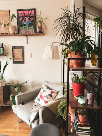 A cozy living room corner featuring a grey armchair with a geometric-patterned cushion. The setting includes several indoor plants placed on shelves and surfaces, adding a vibrant touch. Framed art and posters hang on the wall above the chair, contributing to a creative and personalized atmosphere. A wooden shelf unit holds more plants and decorative items, while a floor lamp provides soft lighting. The overall arrangement suggests an inviting and warm space.