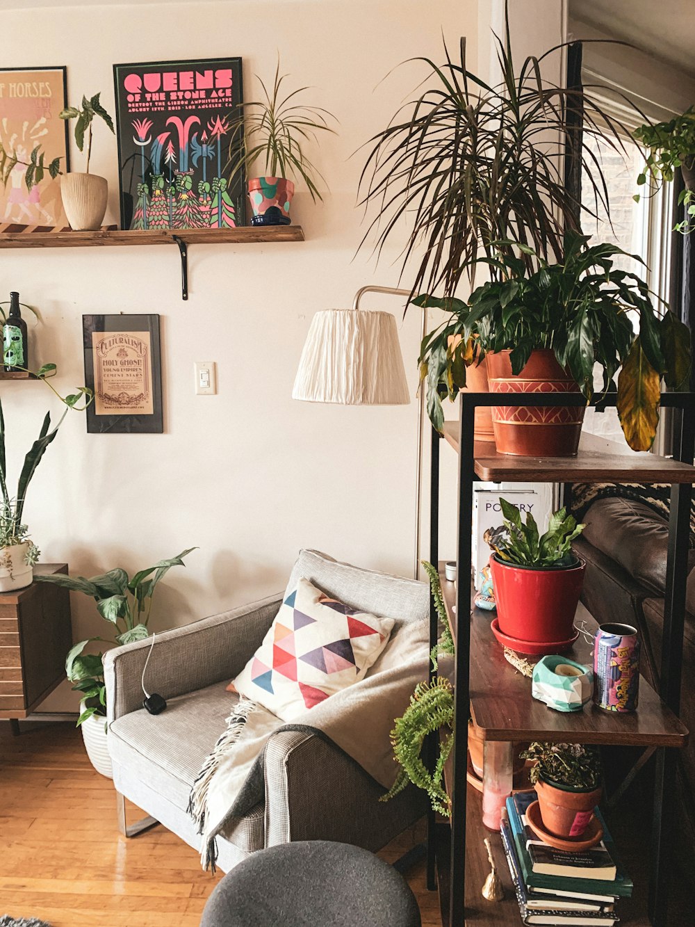 green potted plant on brown wooden table