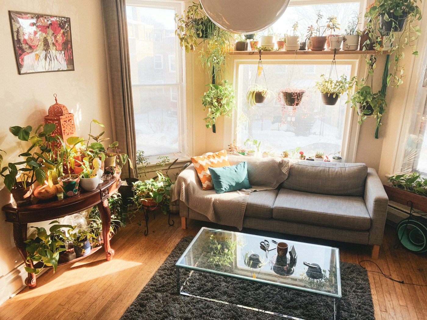 Apartment living room corner filled with lush houseplants surrounding a warm wood coffee table and gray sofa, with natural light creating an earthy indoor-garden atmosphere