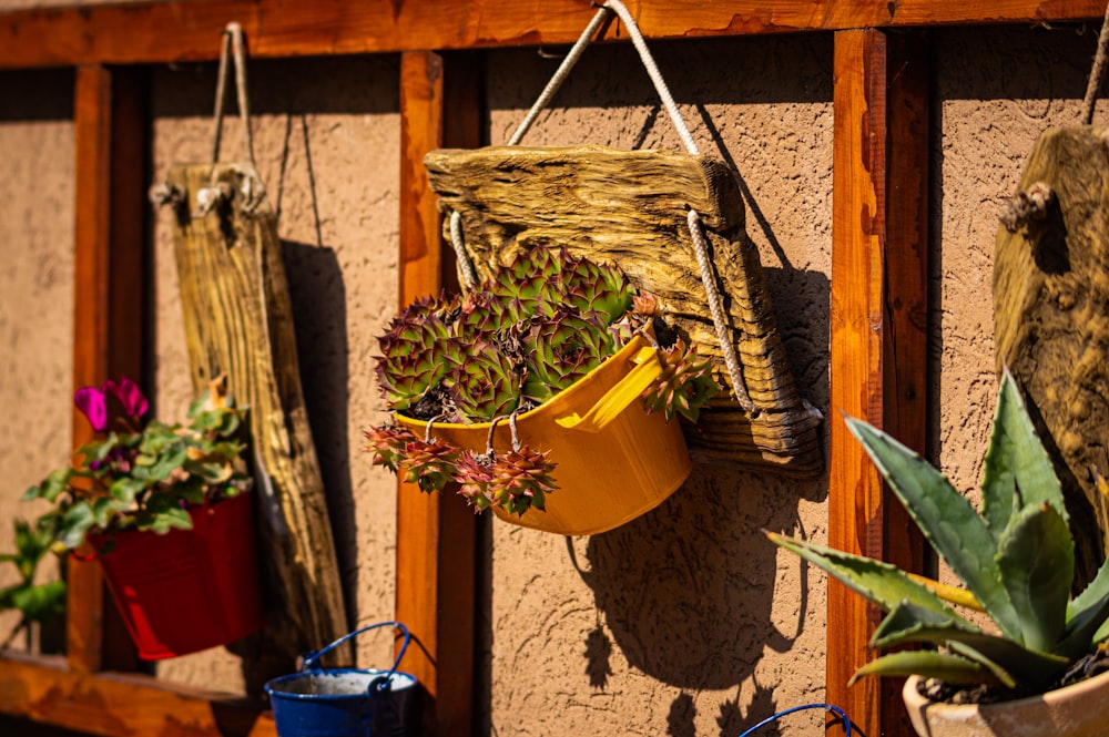 green plant on yellow plastic bucket