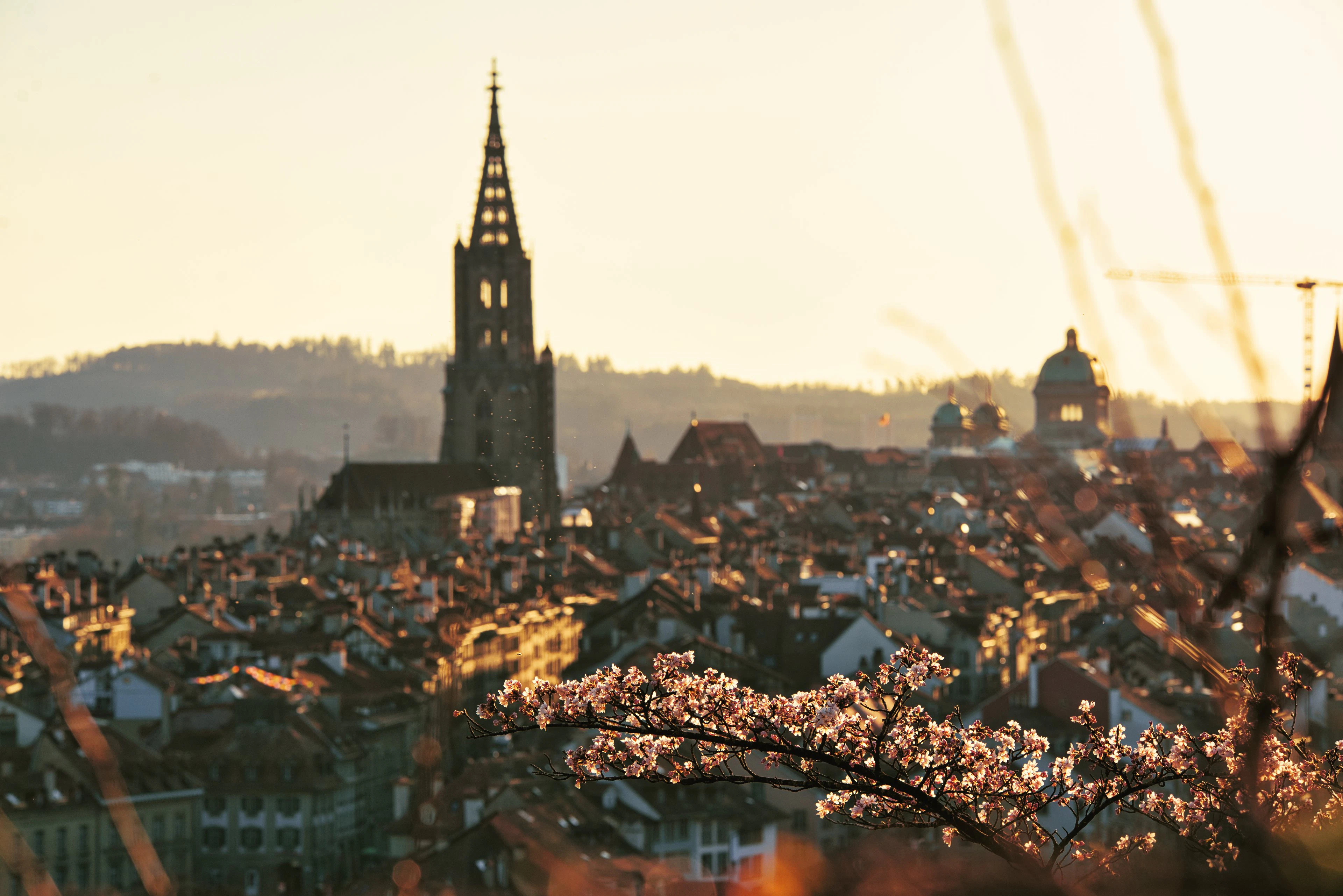The Rosengarten terrace overlooking Bern’s Old Town