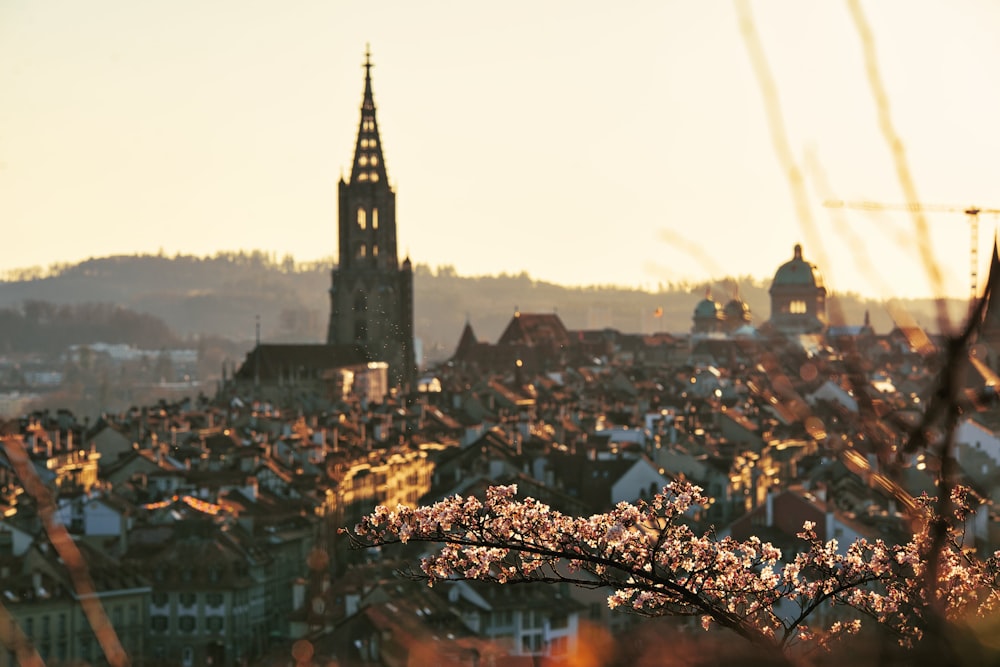 Stadt mit Hochhäusern tagsüber