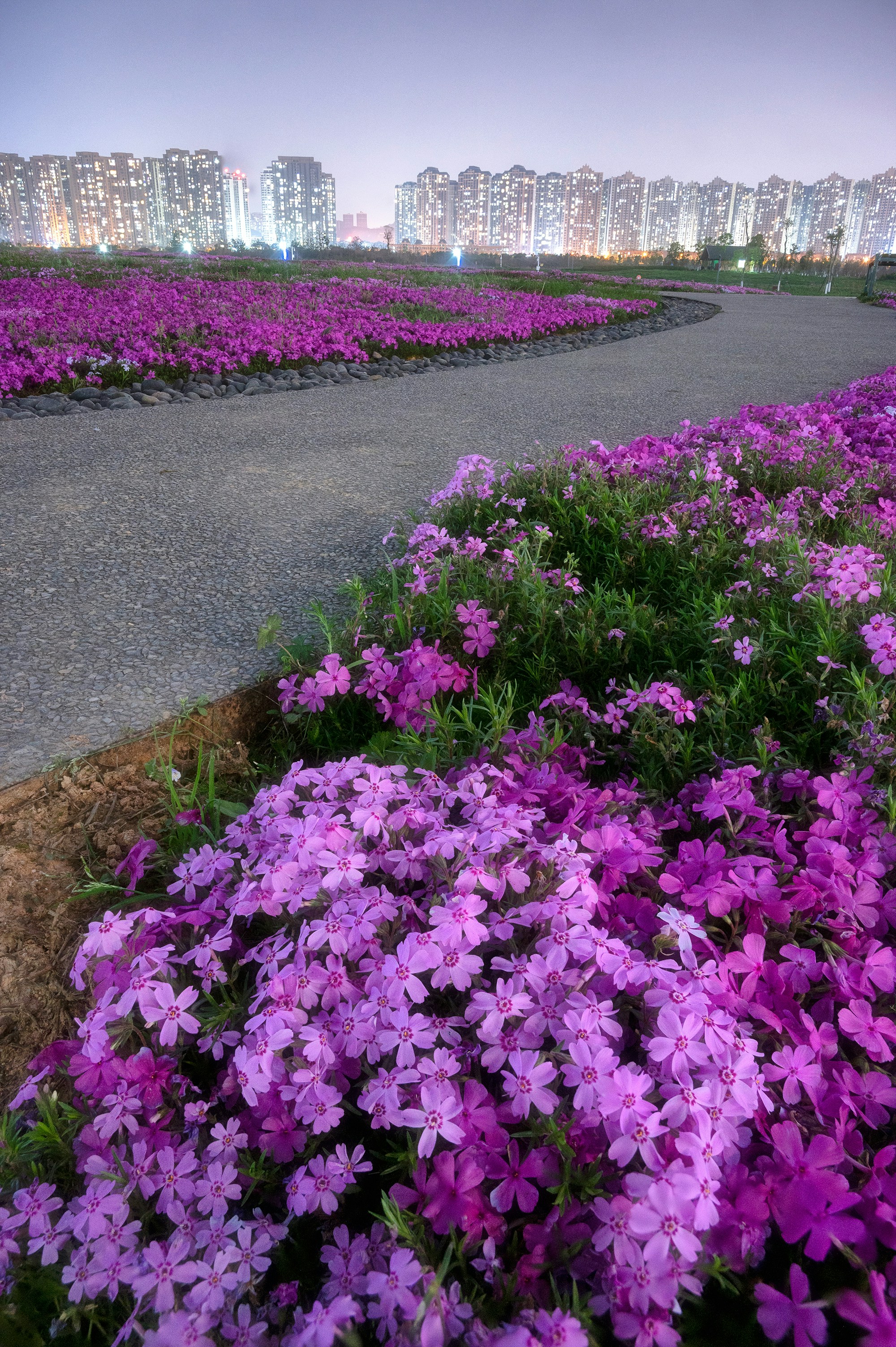 Photo by vincent_tint