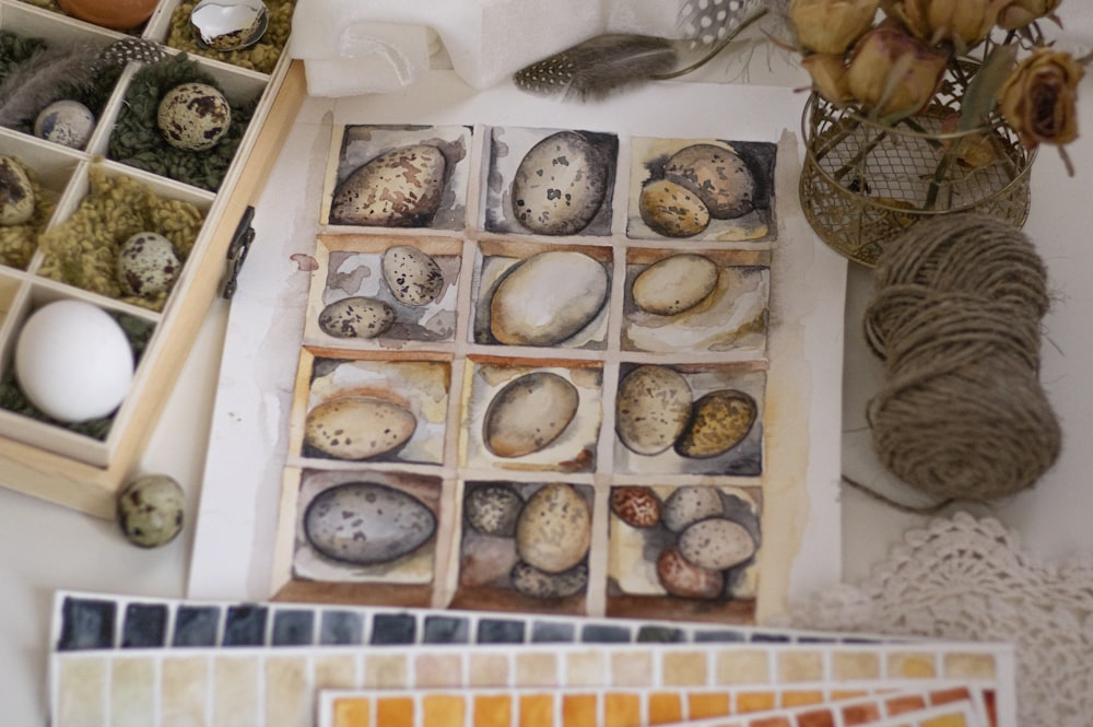 biscuits bruns et blancs sur plateau blanc