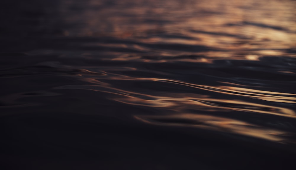 body of water during sunset