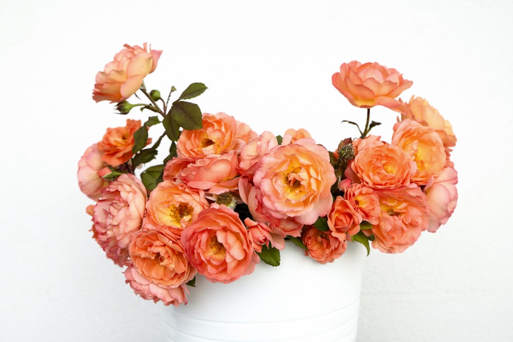 pink roses in white ceramic vase