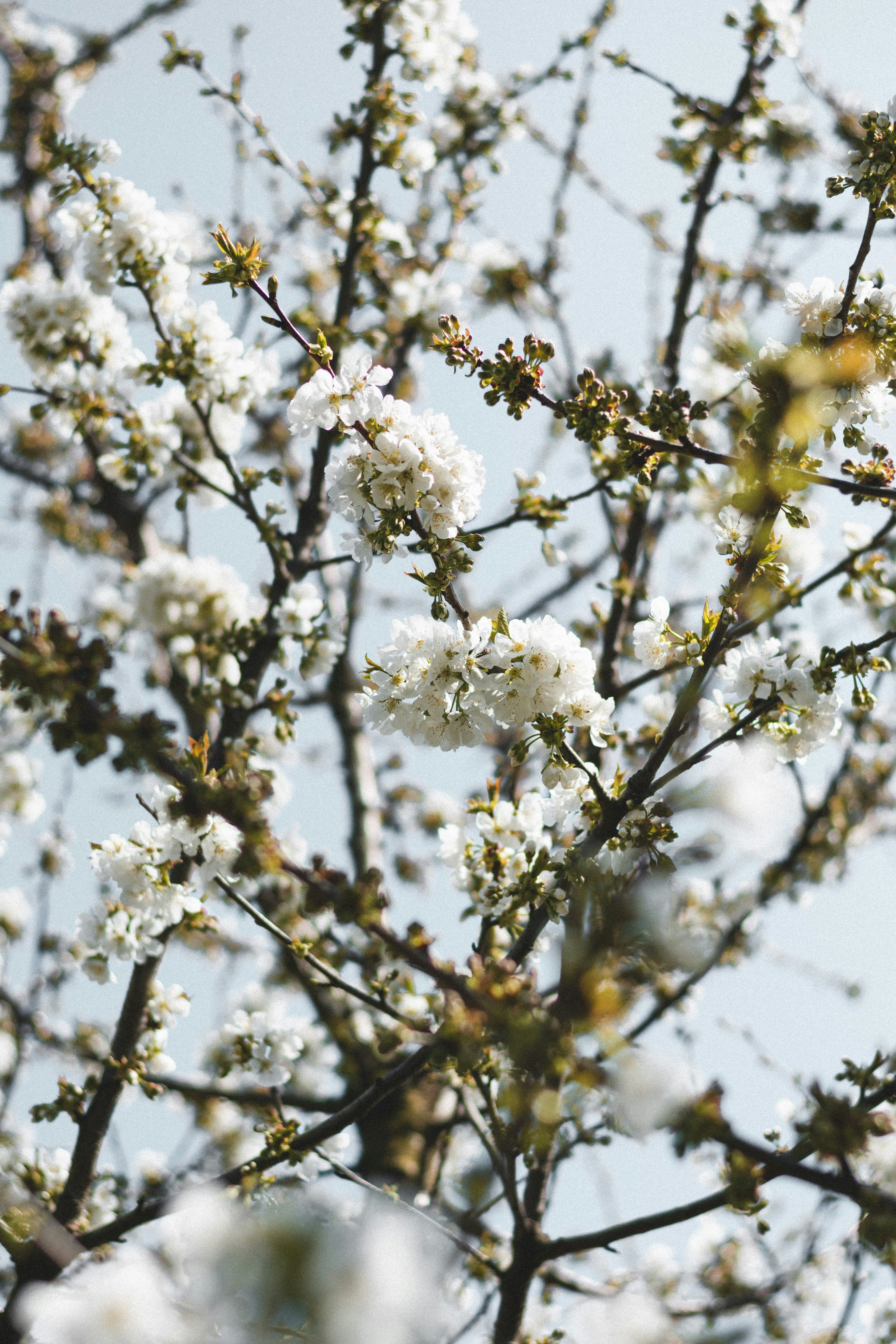 Photo by damiano_baschiera