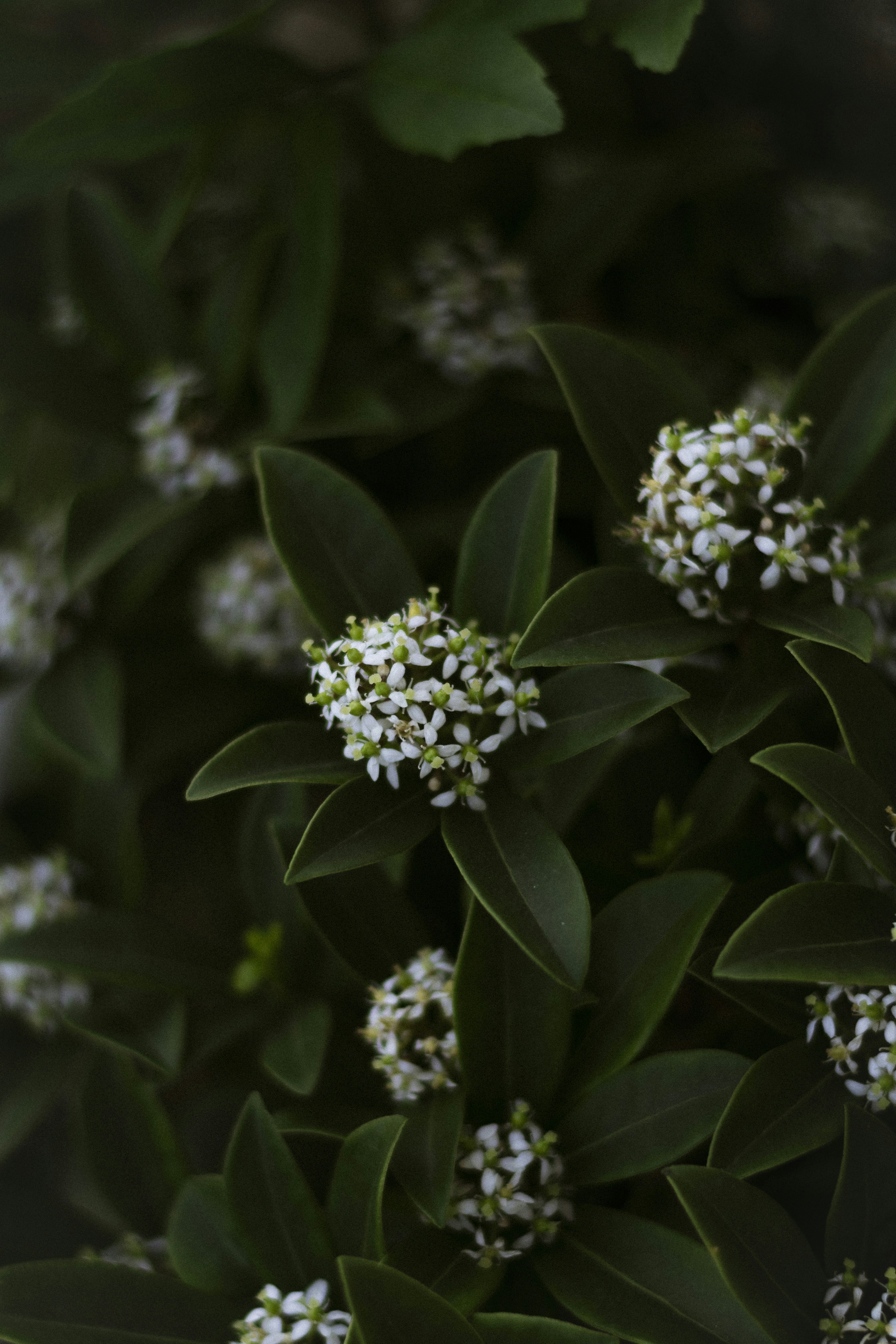 Photo by damiano_baschiera