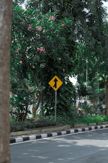A road lined with lush greenery, featuring trees with green leaves and pink flowers. A yellow traffic sign with an upward arrow is prominently displayed next to the pavement, which has black and white markings.