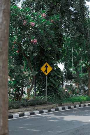 A road lined with lush greenery, featuring trees with green leaves and pink flowers. A yellow traffic sign with an upward arrow is prominently displayed next to the pavement, which has black and white markings.
