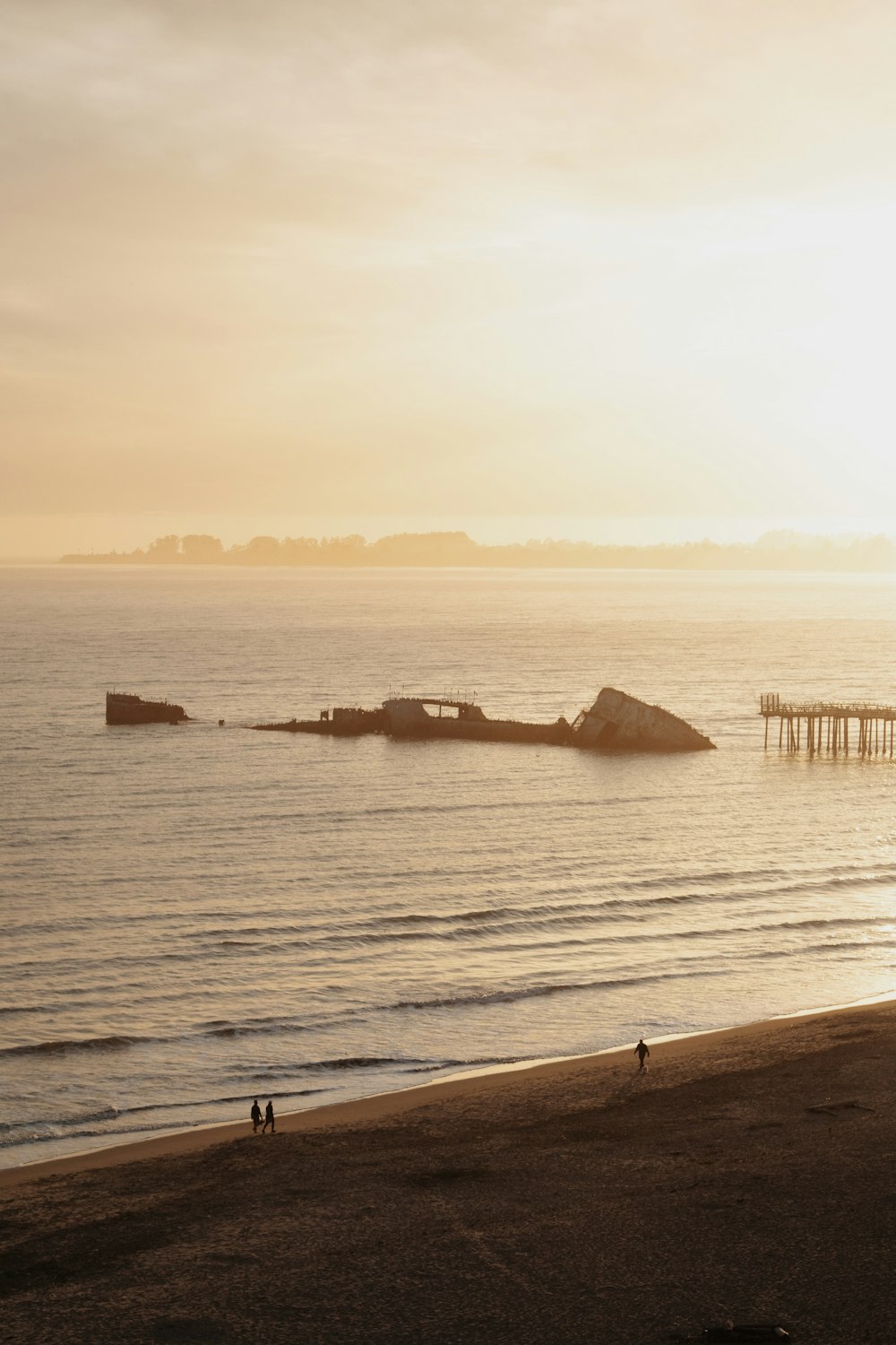 brown wooden dock on sea during daytime