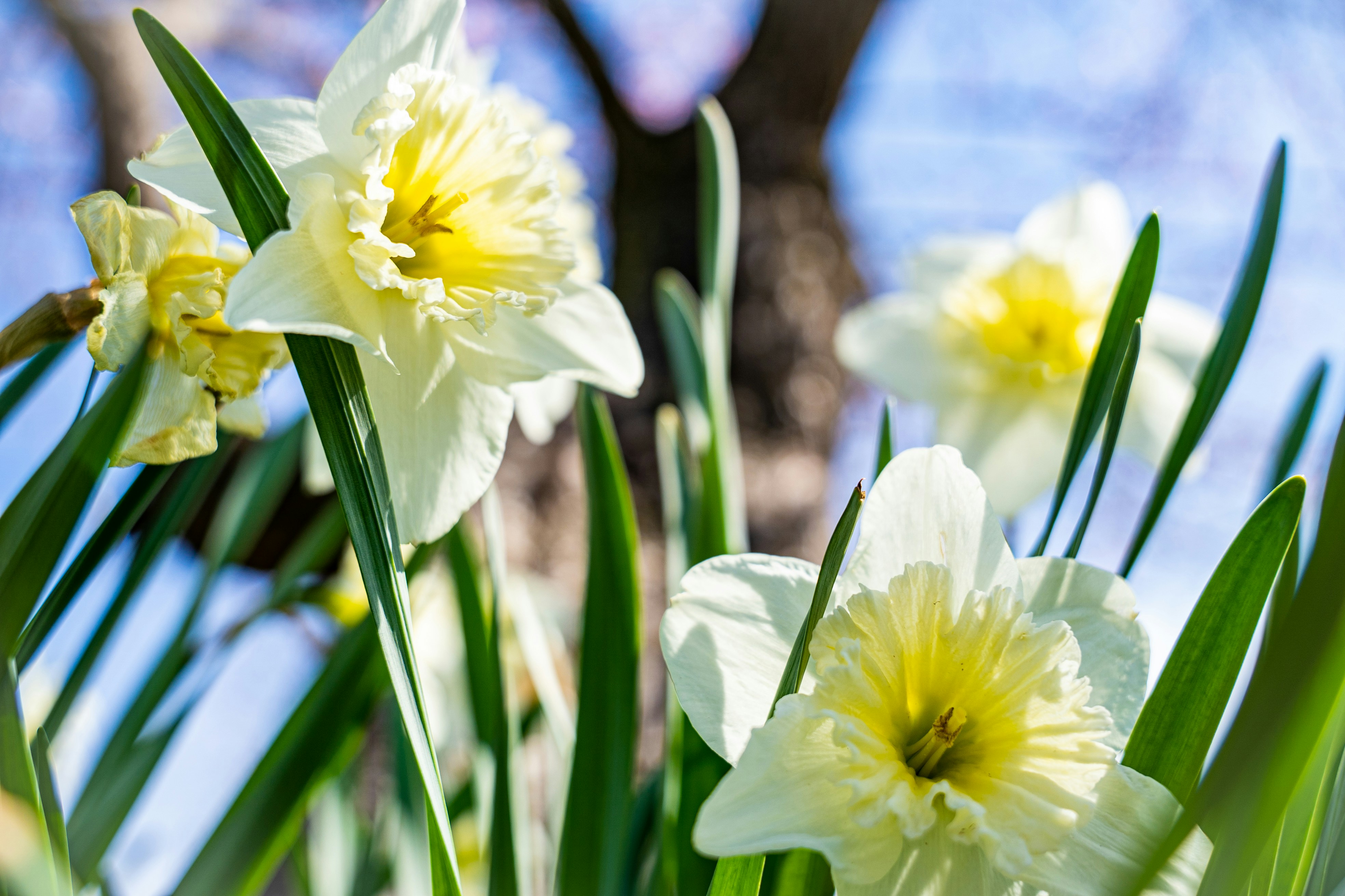 Photo by noah_ilbery