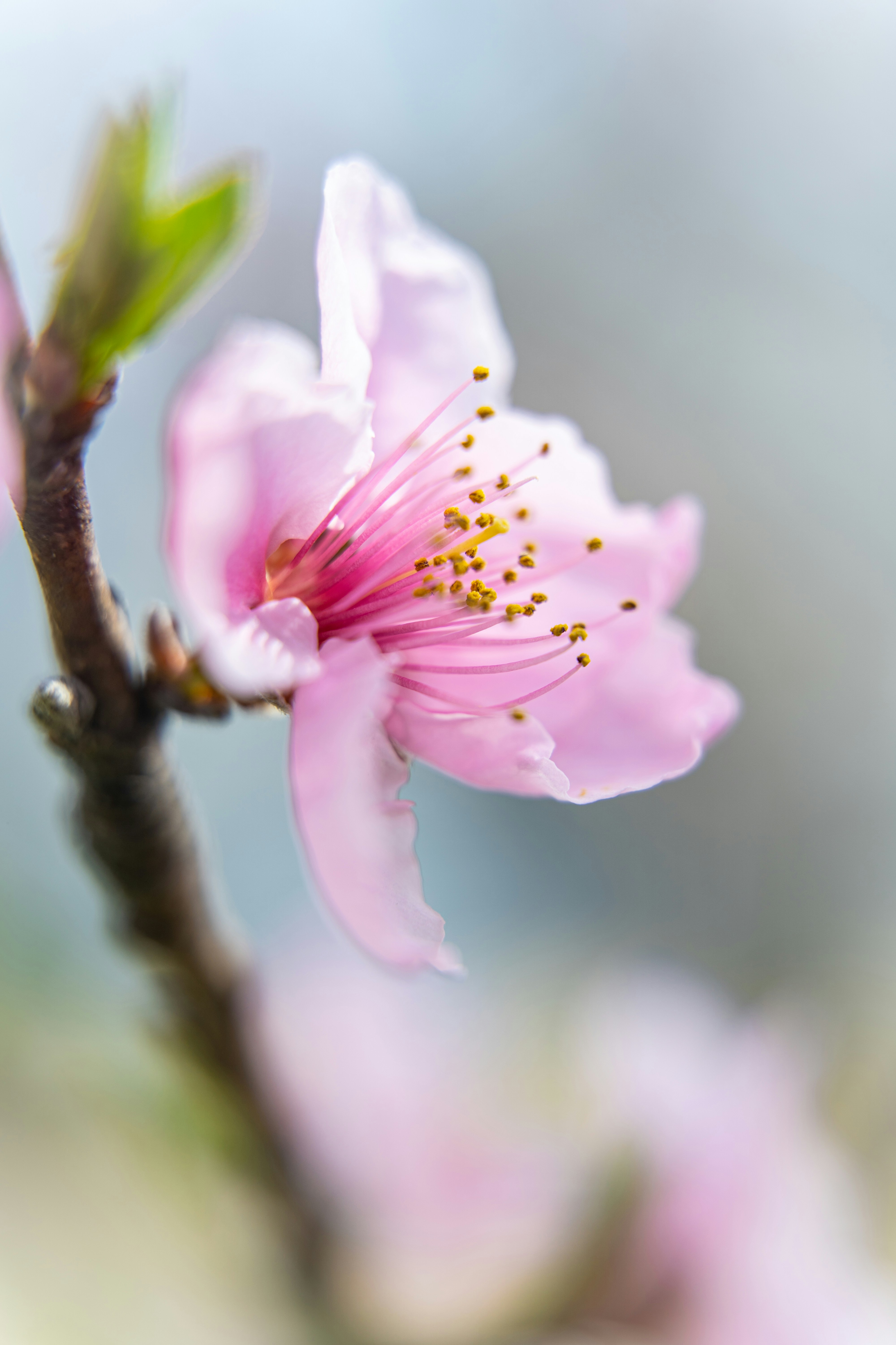 Photo by noah_ilbery