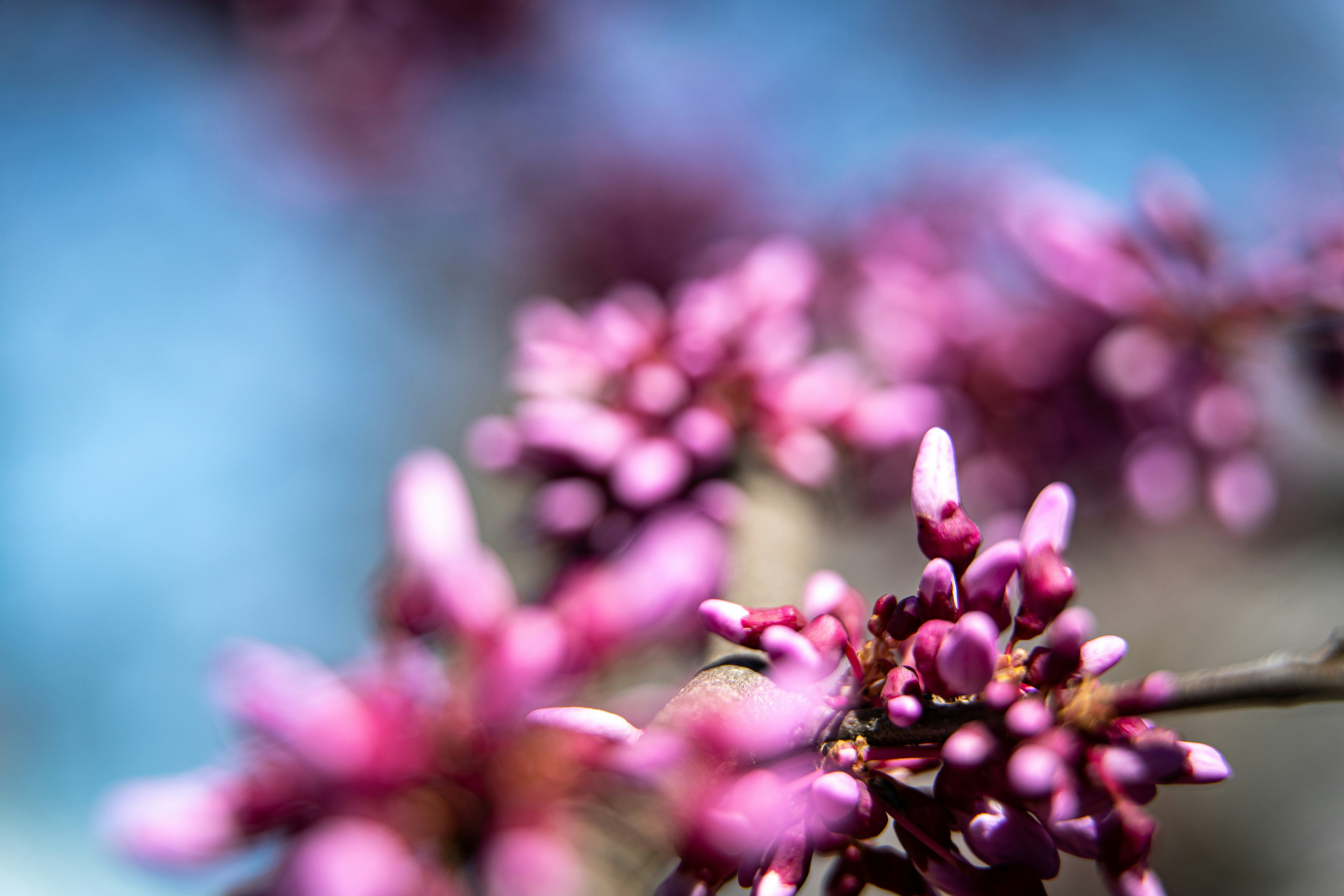 Photo by noah_ilbery