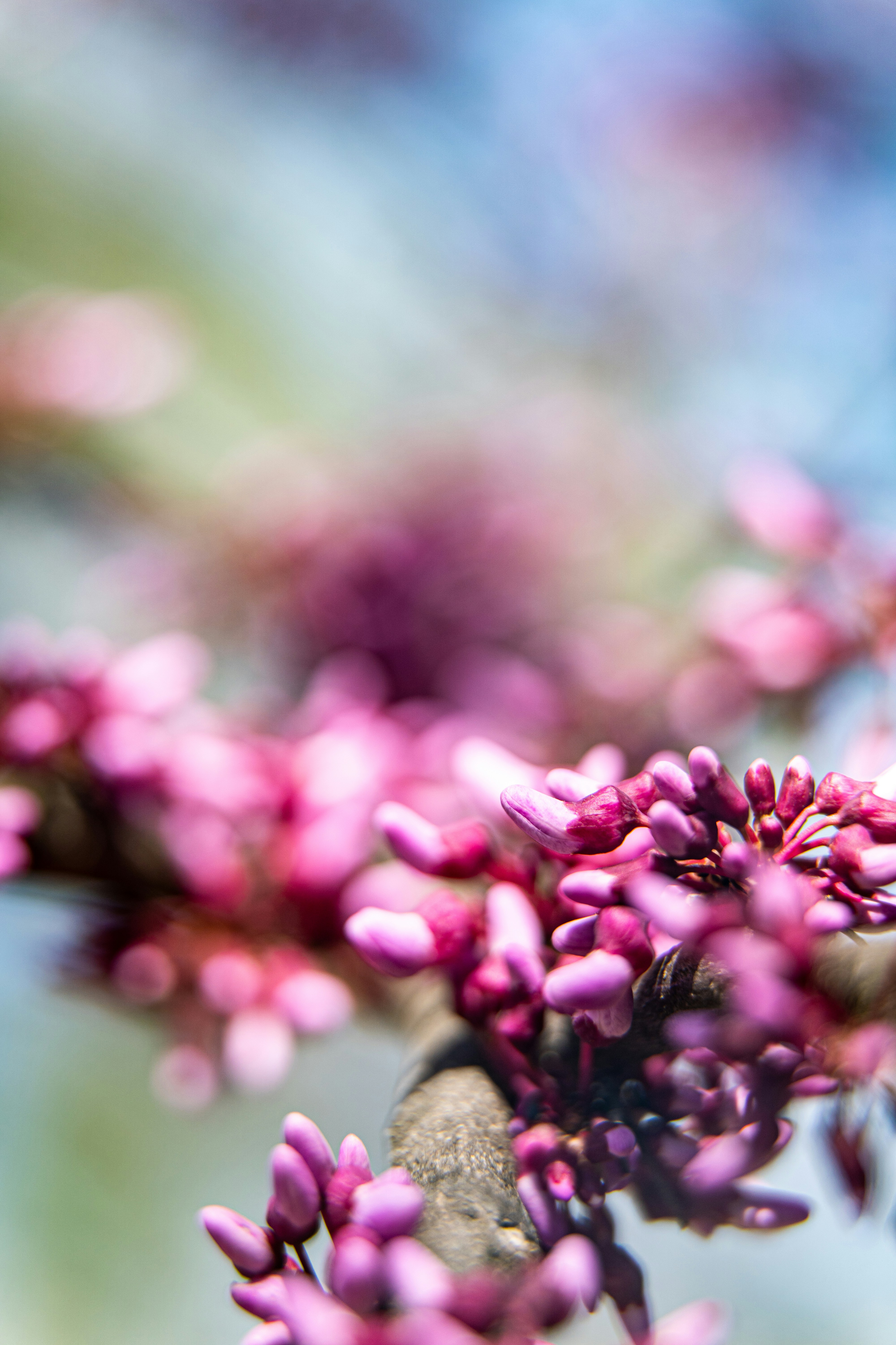 Photo by noah_ilbery