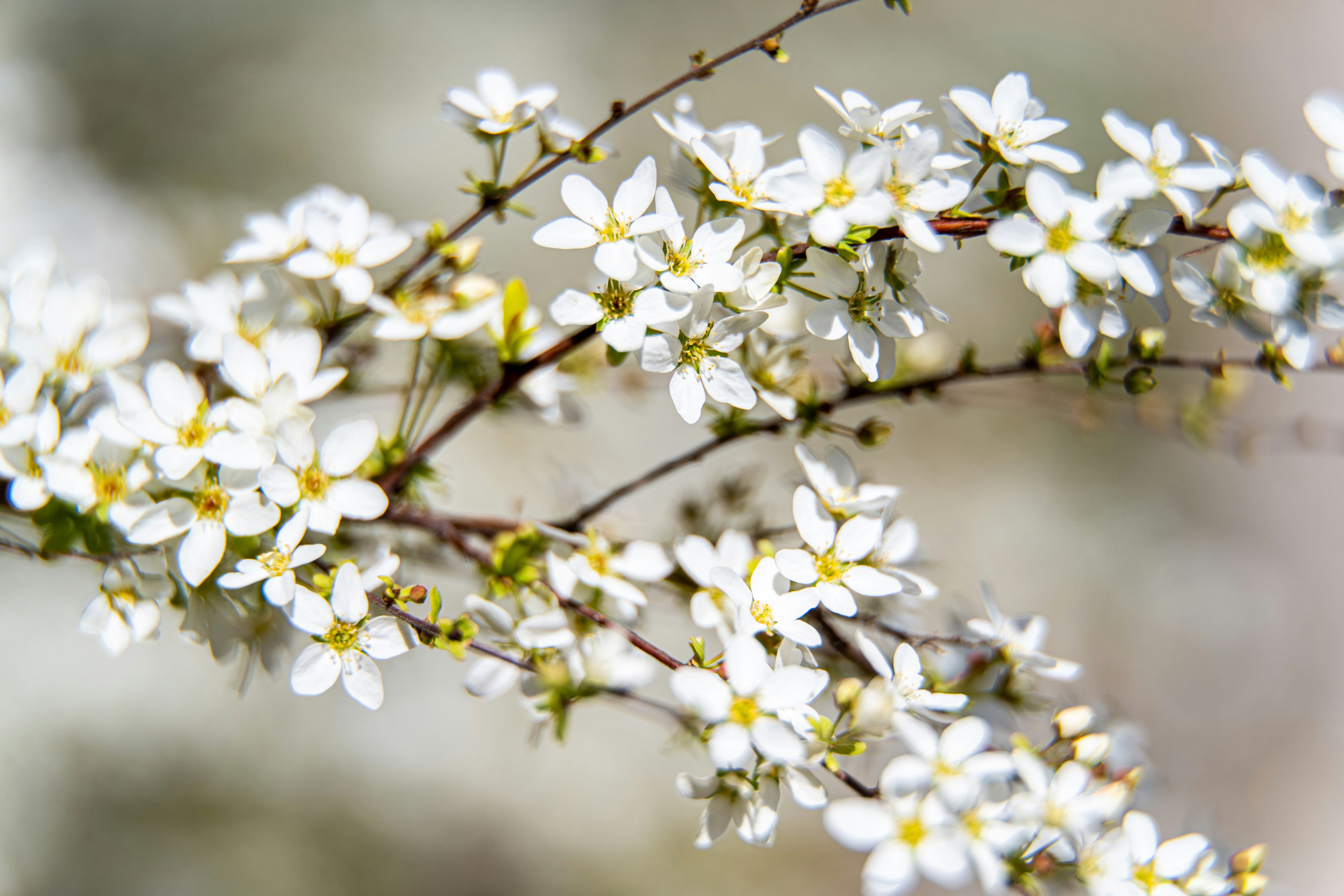 Photo by noah_ilbery