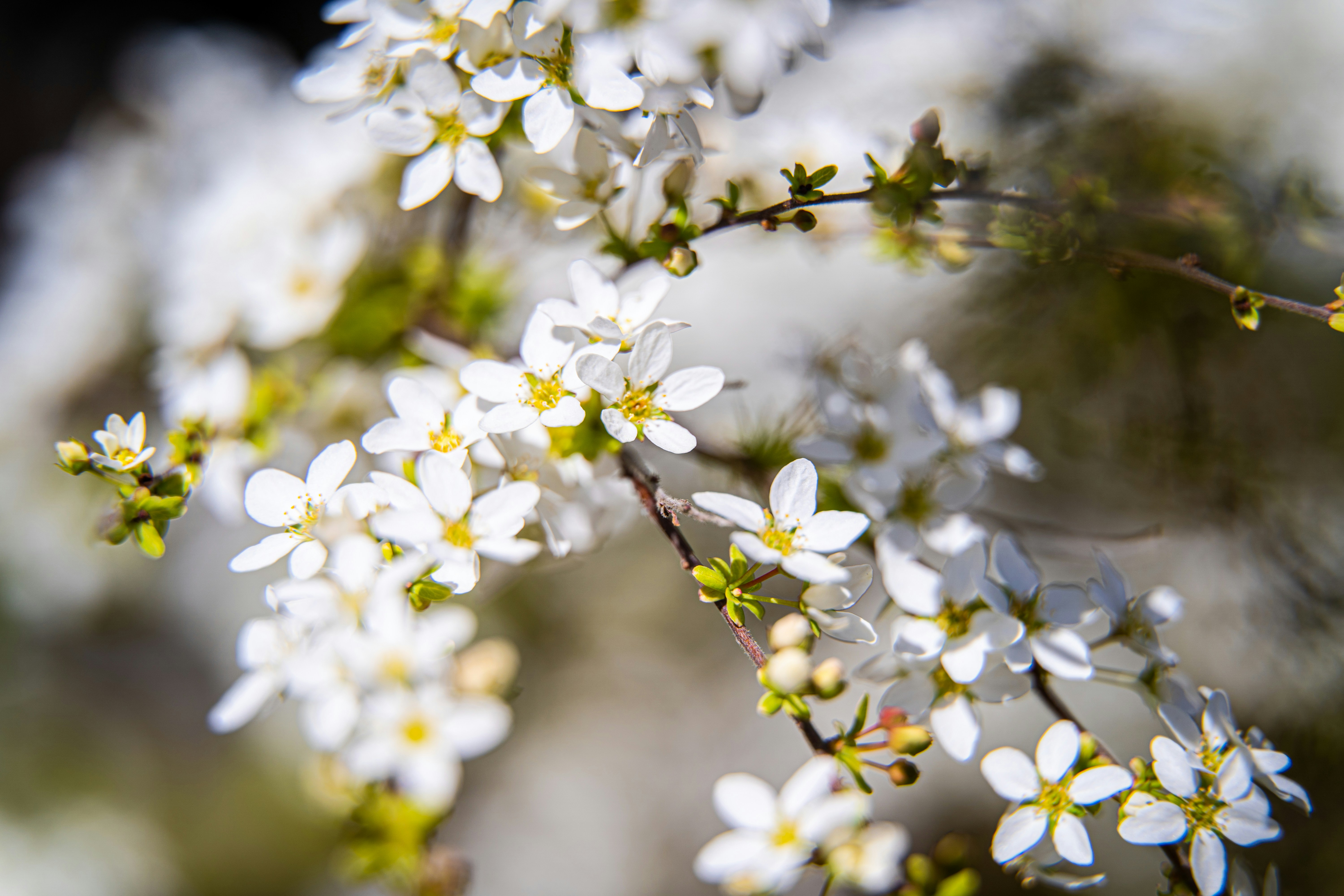 Photo by noah_ilbery