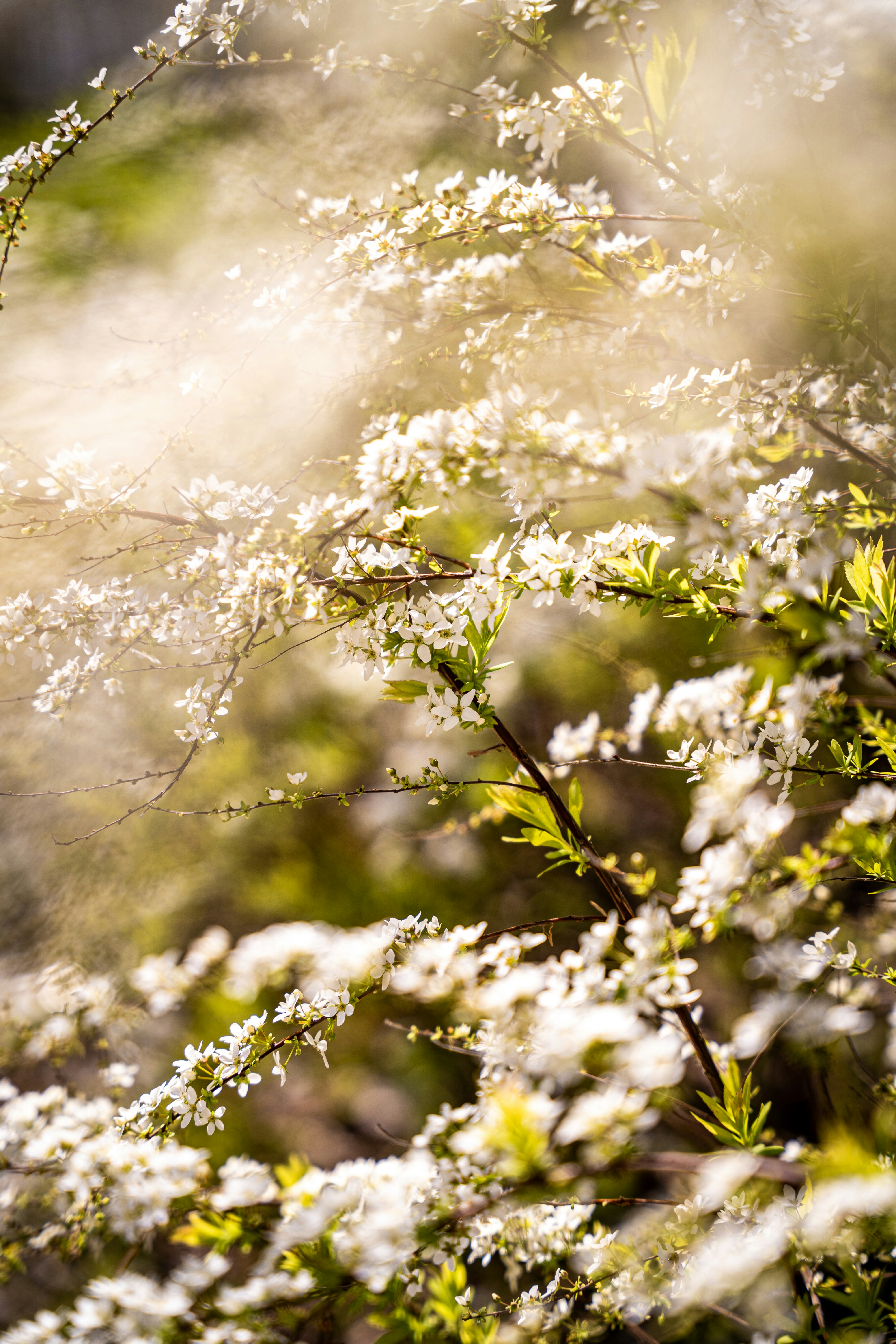 Photo by noah_ilbery