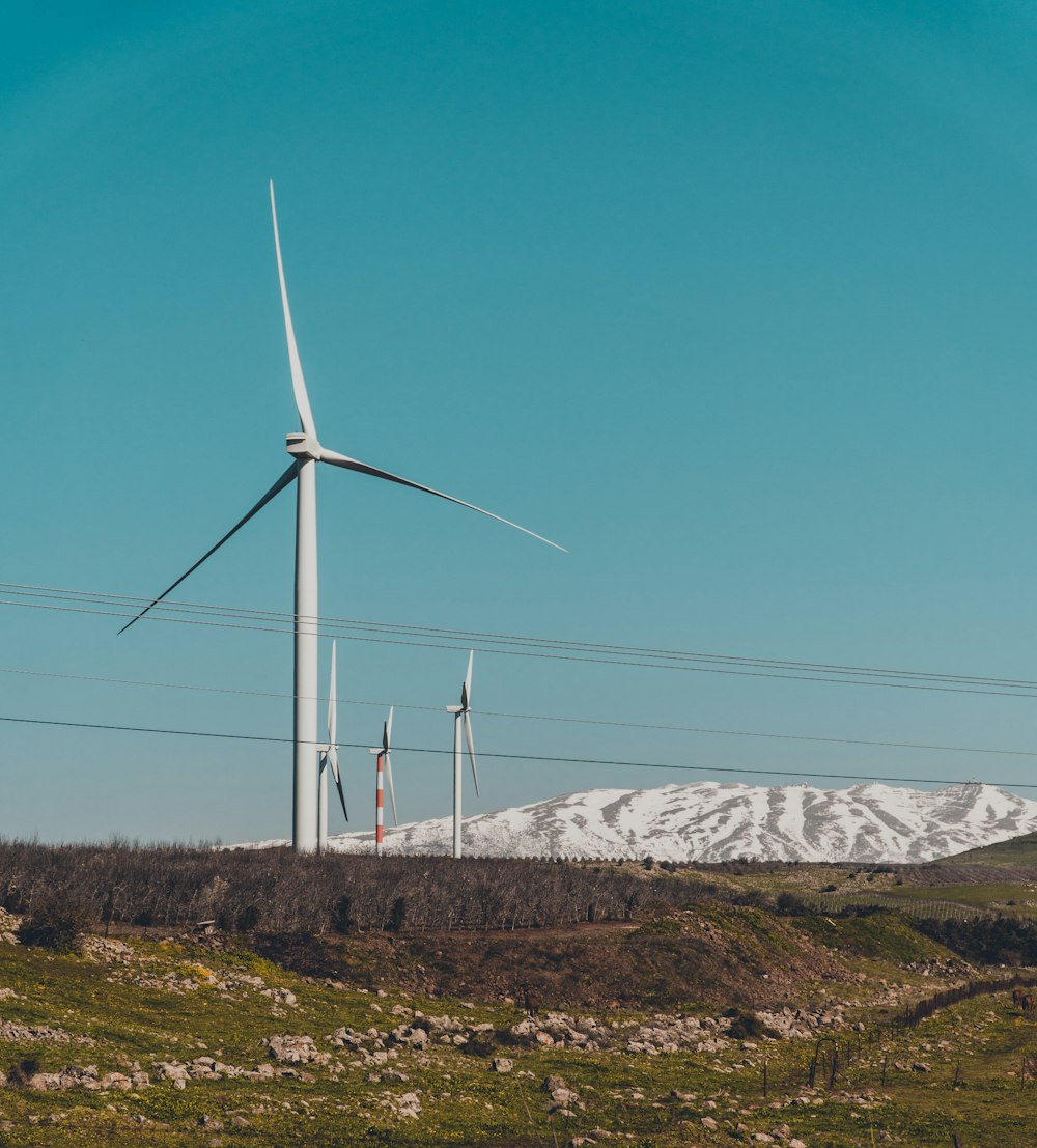 white wind turbine on green grass field under blue sky during daytime