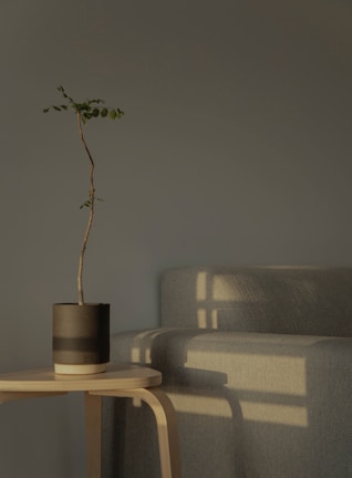 black and gray round container on brown wooden table
