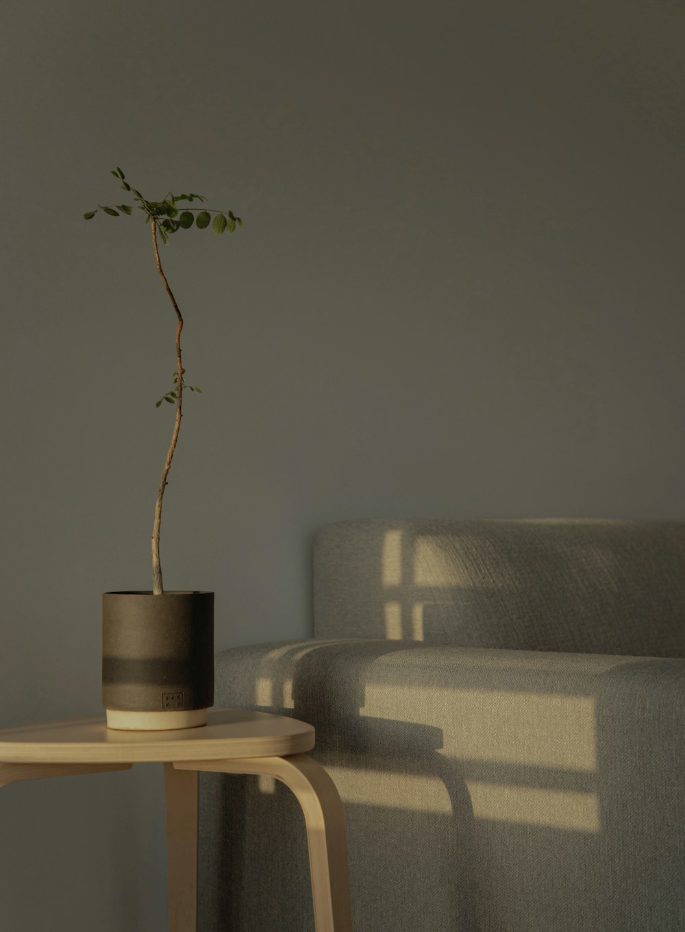 black and gray round container on brown wooden table