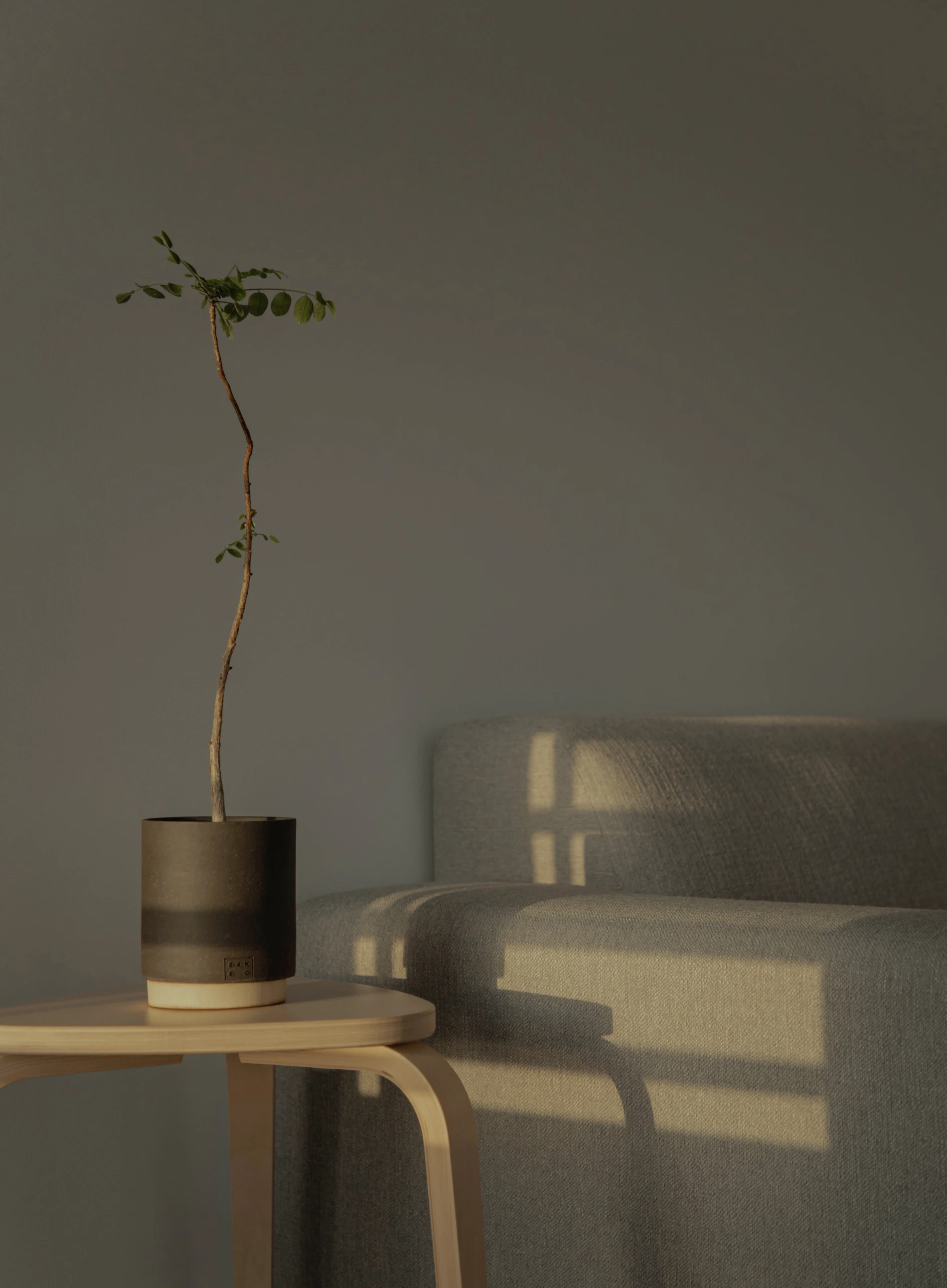 Сканирование QR-кода на табличке Certified Home