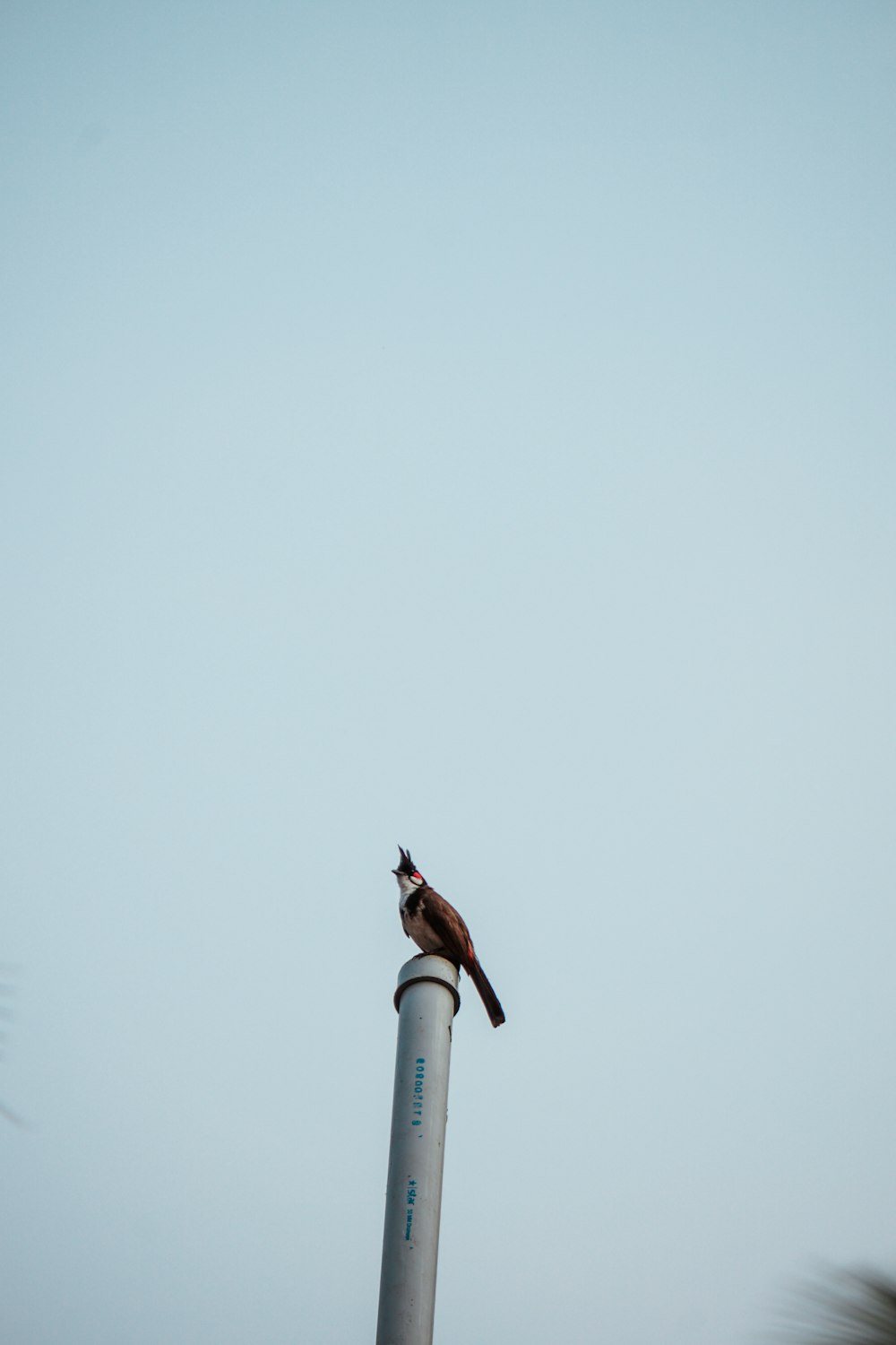 person in white shirt and black pants standing on white tower