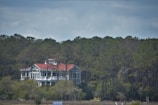 A large, white house with a red roof stands amidst a dense forest of tall green trees. The architecture is contemporary with extensive use of glass, providing a clear view of the surroundings. The house appears secluded, surrounded by natural greenery under a cloudy sky.