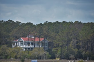 A large, white house with a red roof stands amidst a dense forest of tall green trees. The architecture is contemporary with extensive use of glass, providing a clear view of the surroundings. The house appears secluded, surrounded by natural greenery under a cloudy sky.