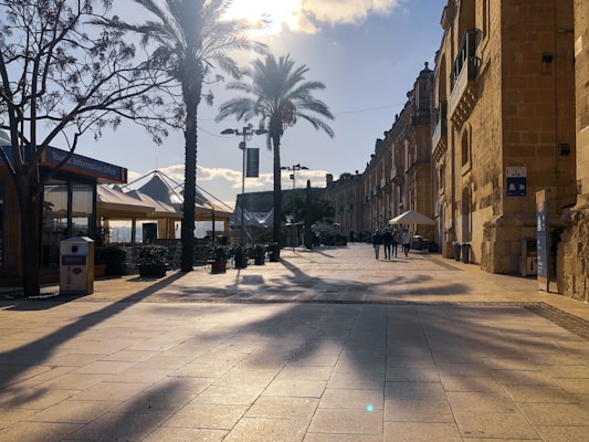 A sunlit street is lined with tall palm trees and historic stone buildings. The pavement tiles reflect sunlight, creating a warm and welcoming atmosphere. There are a few people walking, and a tourist information office is visible on the left. Umbrellas and outdoor seating areas suggest a nearby café or restaurant. The perspective leads the eye toward the horizon, with a clear blue sky above.