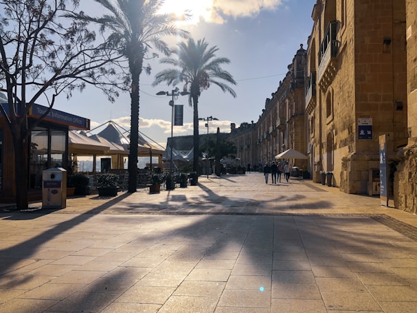 A sunlit street is lined with tall palm trees and historic stone buildings. The pavement tiles reflect sunlight, creating a warm and welcoming atmosphere. There are a few people walking, and a tourist information office is visible on the left. Umbrellas and outdoor seating areas suggest a nearby caf&eacute; or restaurant. The perspective leads the eye toward the horizon, with a clear blue sky above.