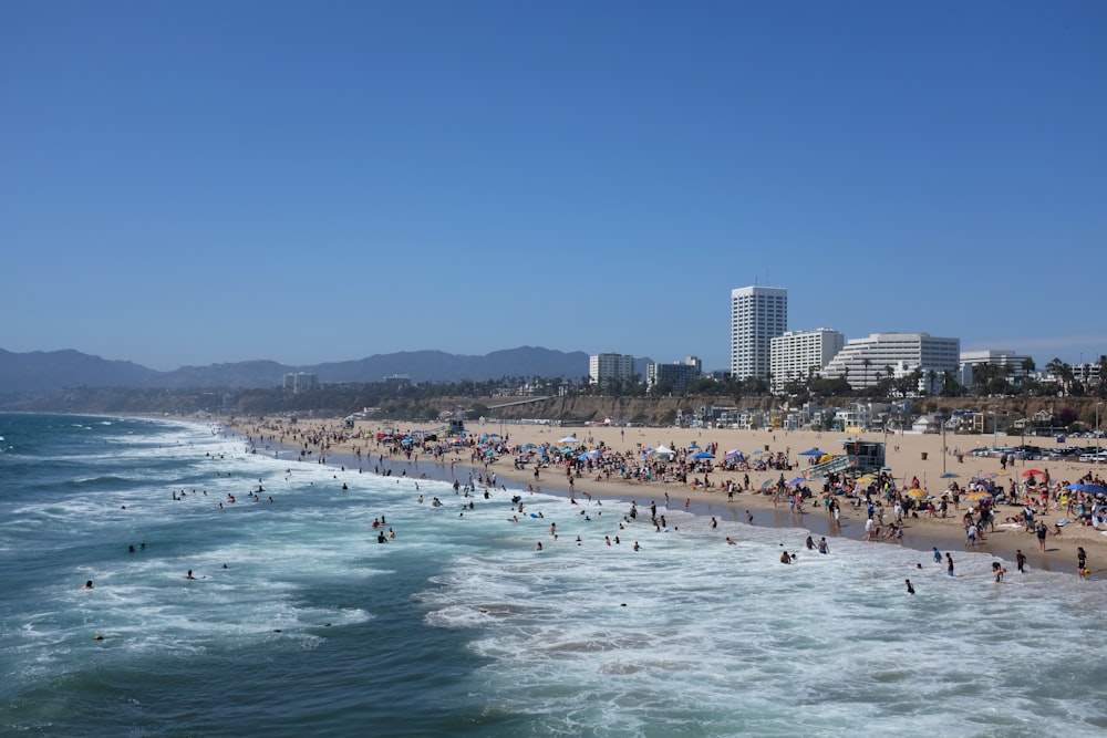 people on beach during daytime