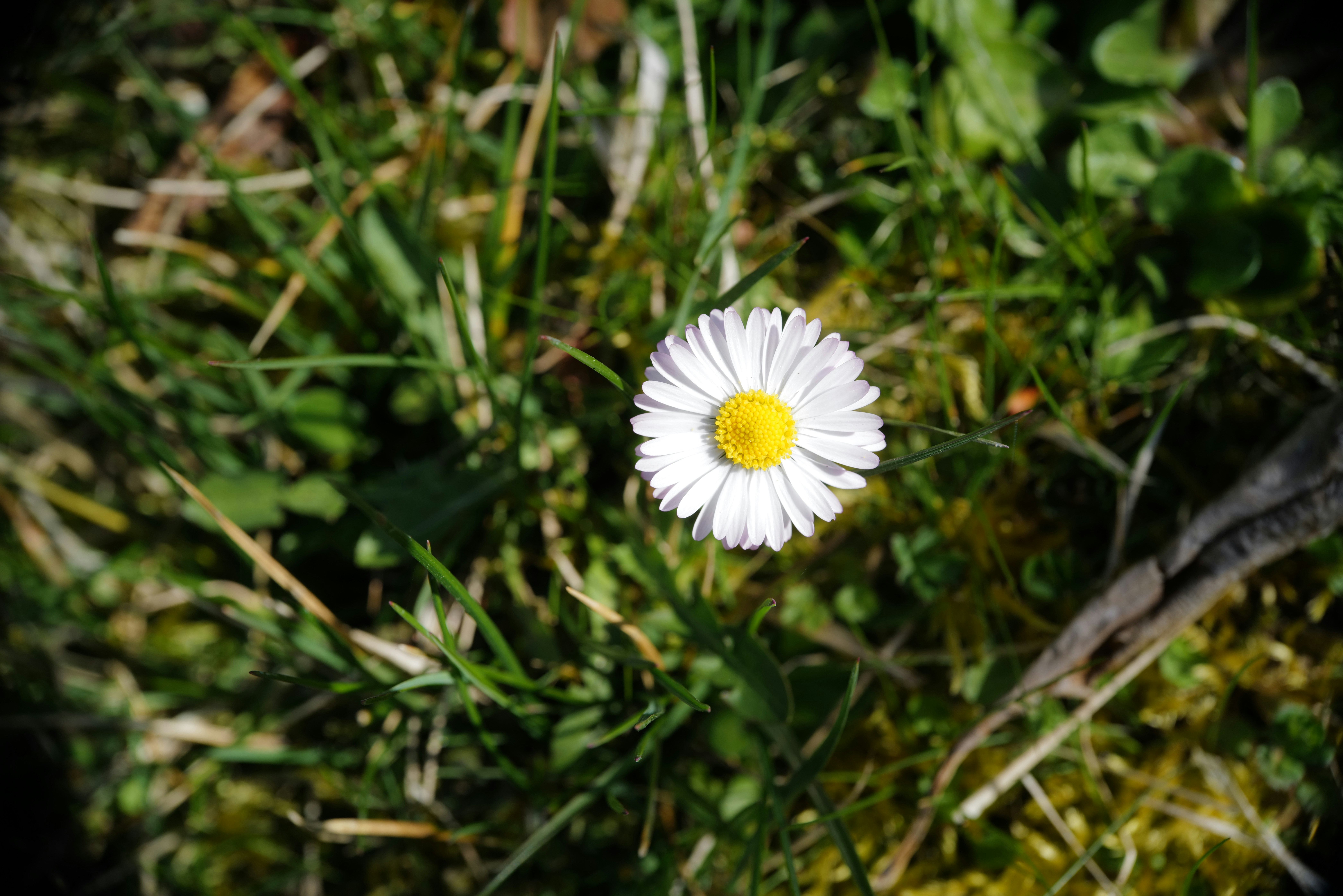 Photo by georgeiermann