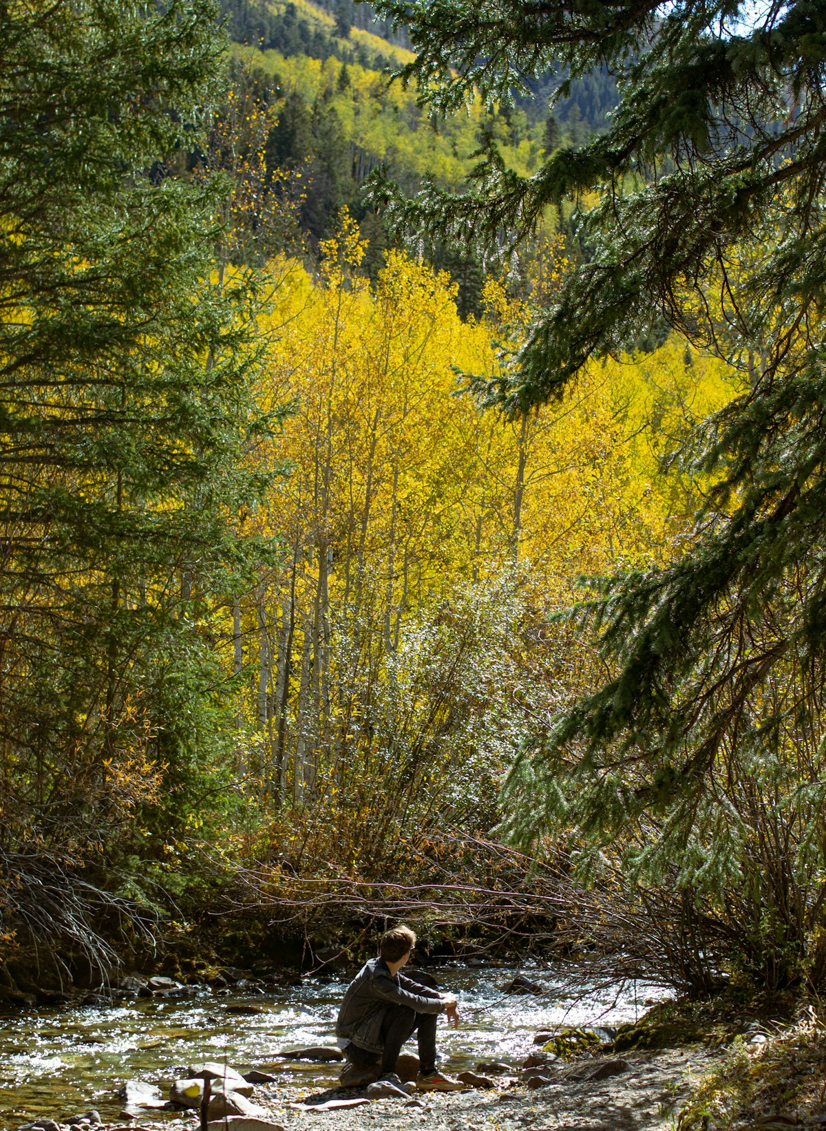 A quiet bend on a Colorado creek — the contemplative country both pursuits share