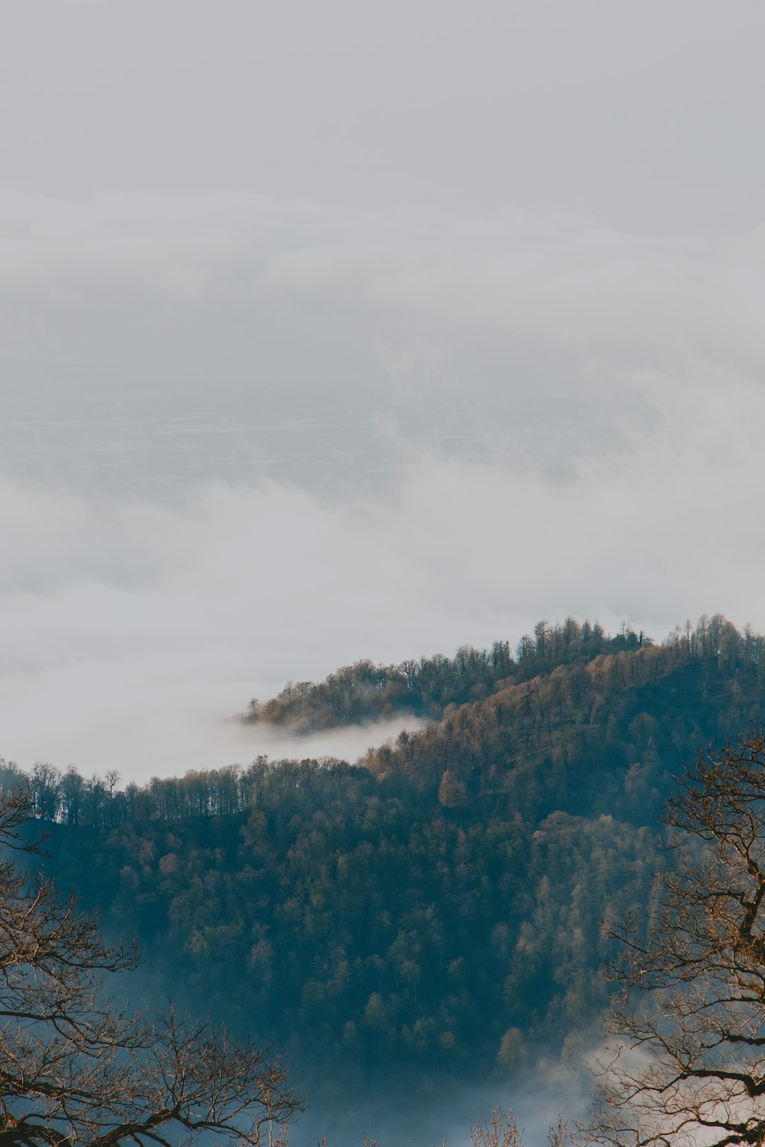 green trees on mountain under white clouds during daytime