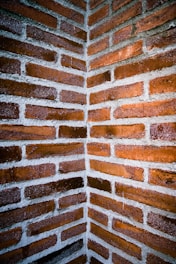 brown brick wall during daytime