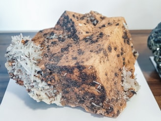 brown bread with white cream on white ceramic plate