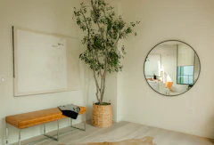 A bright, calm room with a round wall mirror, a padded bench and a potted tree (stand-in for a consultation space)
