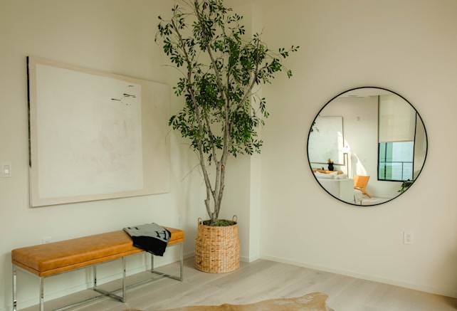 A modern, minimalist interior space featuring a wooden bench with a cloth draped over it, a tall potted plant, a large abstract painting, and a round wall mirror reflecting part of the room. The floor is light-colored wood, and the walls are painted in a neutral tone.