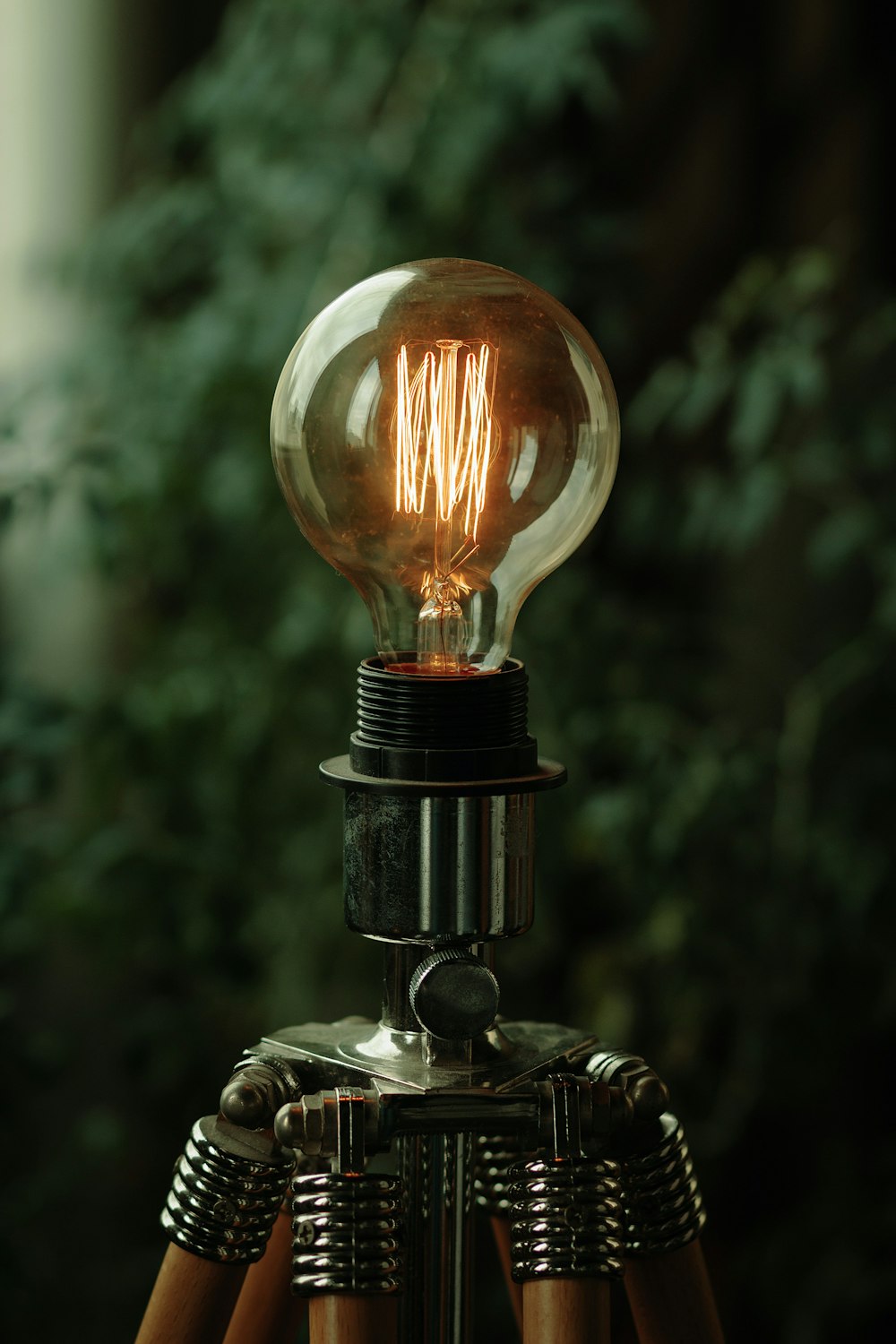 selective focus photography of light bulb