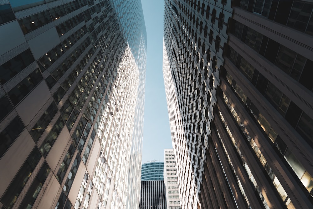 white and brown high rise buildings