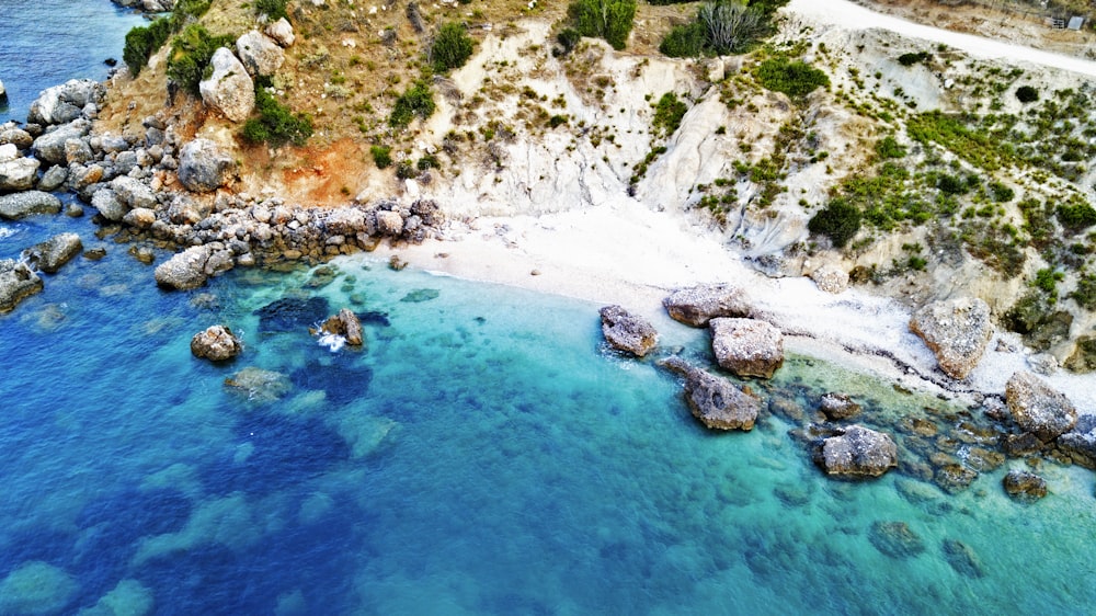 body of water near green trees during daytime