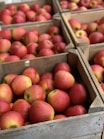 red apples on brown wooden crate