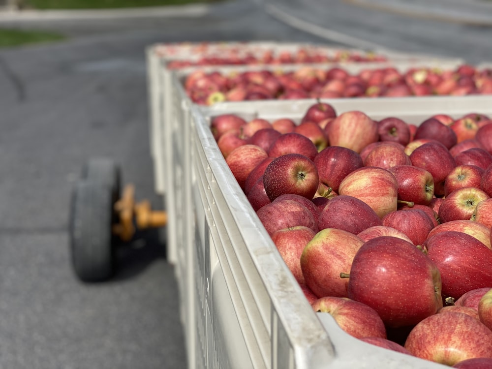 red apples on white plastic crate